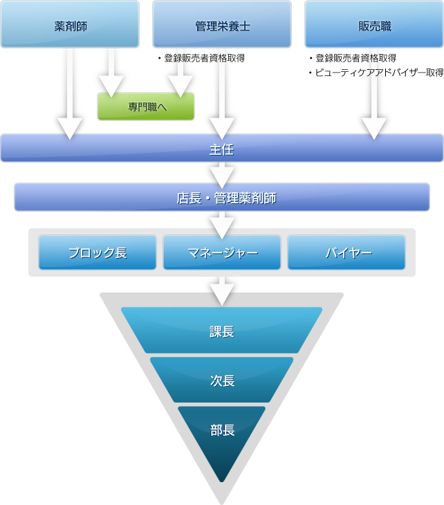 総合職